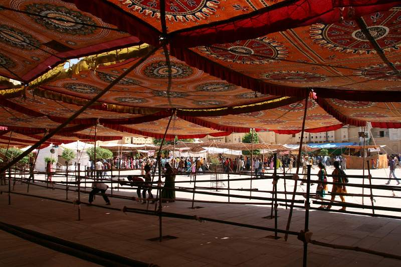 India & Nepal 2011 - 1445